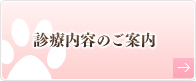 診療内容のご案内